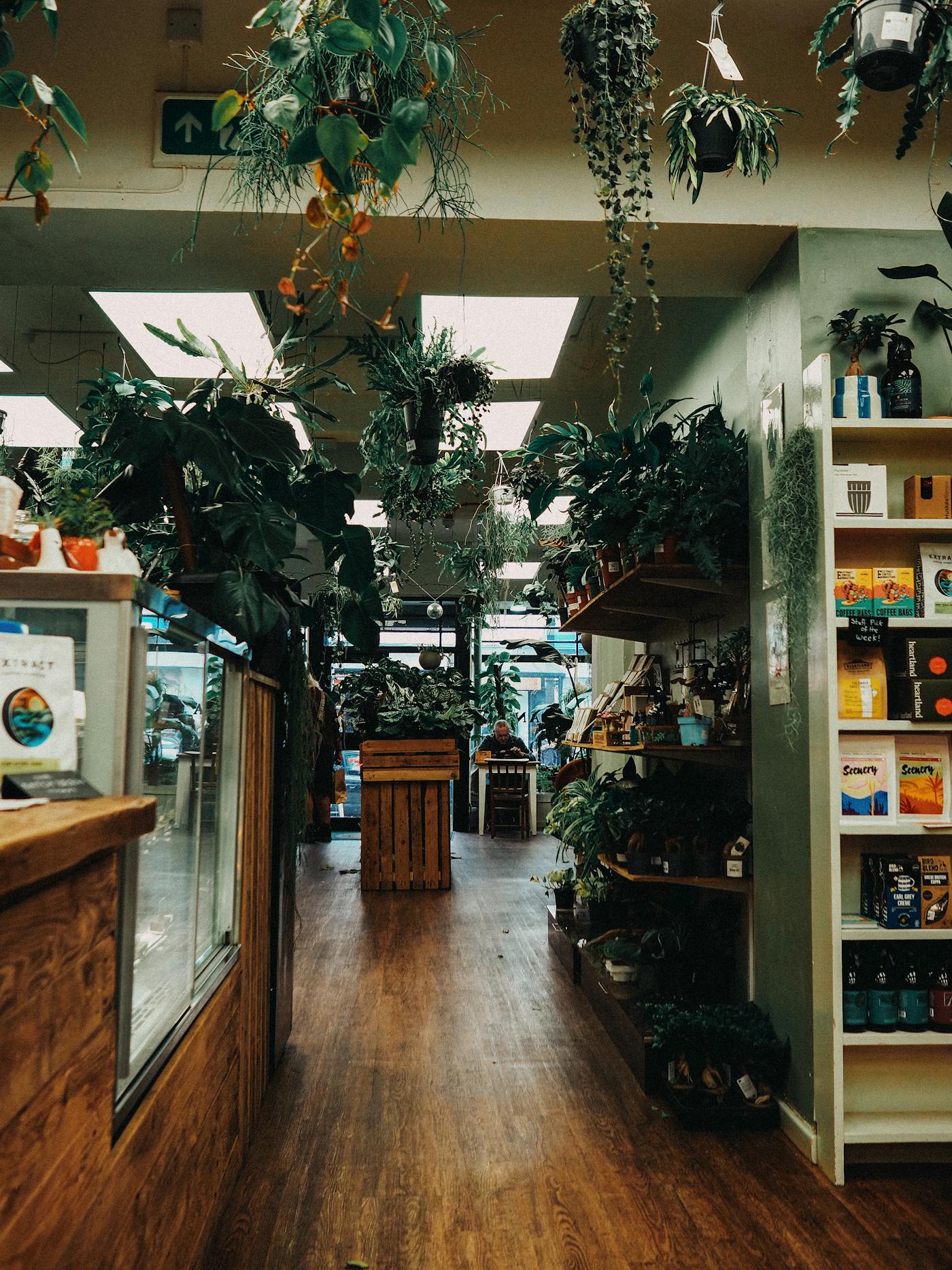 Lush indoor plant store with wooden accents.